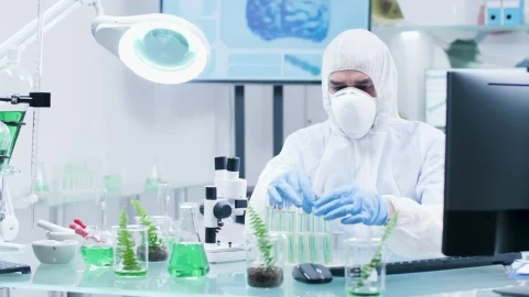Stock Video Man Checking Organic Samples Animated Wallpaper - Free Live Wallpaper