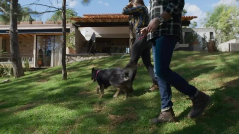 Stock Video Man And Woman Walking A Dog In A Garden Animated Wallpaper - Free Live Wallpaper