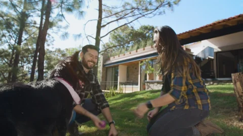 Stock Video Man And Woman Playing With A Dog In A Garden Animated Wallpaper - Free Live Wallpaper