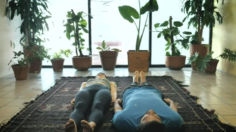 Stock Video Man And Woman In Sitting Yoga Pose Animated Wallpaper - Free Live Wallpaper
