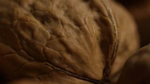 Stock Video Macro Shot Off At Walnuts In The Shell Animated Wallpaper - Free Live Wallpaper