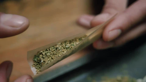 Stock Video Macro Shot Of Preparing A Joint Animated Wallpaper - Free Live Wallpaper