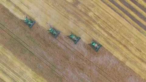 Stock Video Machines Harvesting A Wheat Field Animated Wallpaper - Free Live Wallpaper