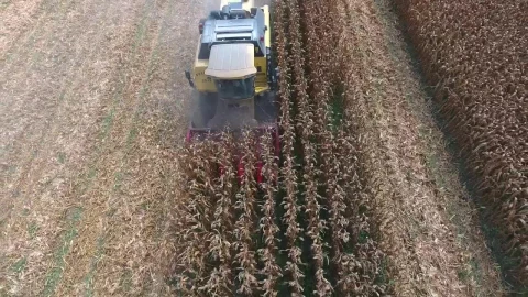 Stock Video Machine Working Harvesting Corn Fields Animated Wallpaper - Free Live Wallpaper