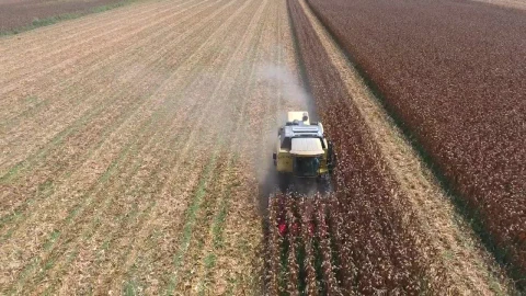 Stock Video Machine Harvesting The Crops Animated Wallpaper - Free Live Wallpaper