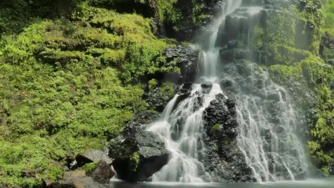 Stock Video Lush Waterfall In Forest Animated Wallpaper - Free Live Wallpaper