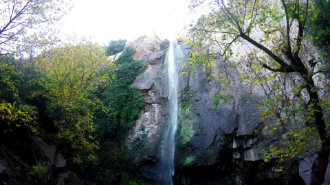 Stock Video Low View Of A Large Waterfall In A Rocky Forest Animated Wallpaper - Free Live Wallpaper