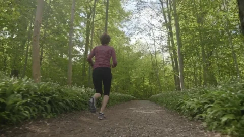 Stock Video Low Shot Of A Woman Running In The Woods Animated Wallpaper - Free Live Wallpaper