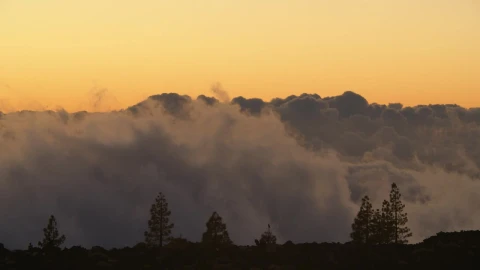 Stock Video Low Clouds Behind A Forest Animated Wallpaper - Free Live Wallpaper