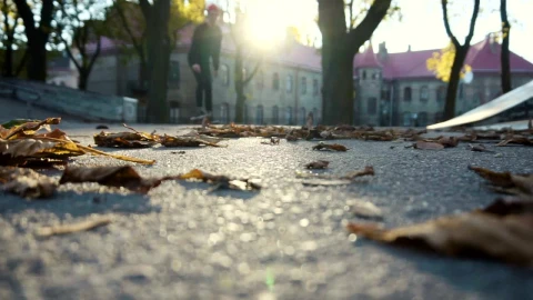 Stock Video Low Angle Of Skater Riding Through Autumn Leaves Animated Wallpaper - Free Live Wallpaper