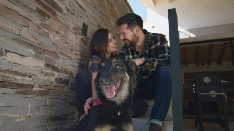 Stock Video Loving Couple Petting Their Dog Animated Wallpaper - Free Live Wallpaper
