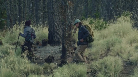 Stock Video Lovers Walking Through A Forest Animated Wallpaper - Free Live Wallpaper