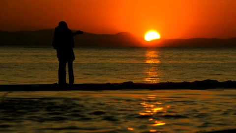 Stock Video Lovers Taking A Selfie At Sunset On The Seashore Animated Wallpaper - Free Live Wallpaper