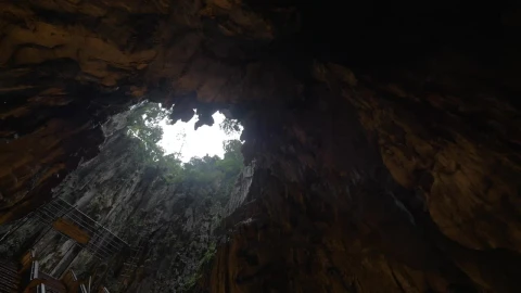 Stock Video Looking Up From A Deep Cave Animated Wallpaper - Free Live Wallpaper