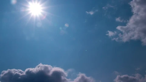 Stock Video Looking Straight Up Towards The Sun Animated Wallpaper - Free Live Wallpaper