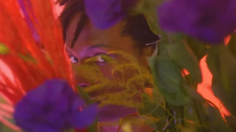 Stock Video Look Of A Man Through Flowers Animated Wallpaper - Free Live Wallpaper