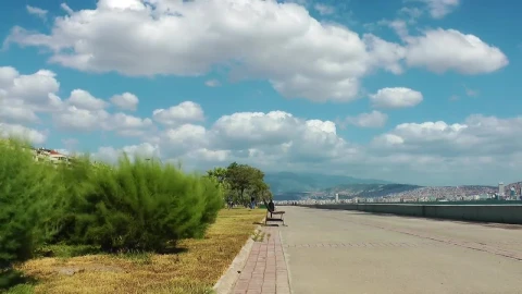 Stock Video Long Walker Beside The Sea On A Sunny Day Animated Wallpaper - Free Live Wallpaper