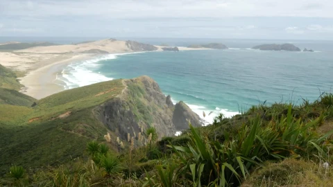 Stock Video Long Seashore And The Ocean In New Zealand Animated Wallpaper - Free Live Wallpaper