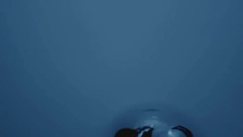 Stock Video Large Air Bubbles Smal Animated Wallpaper - Free Live Wallpaper