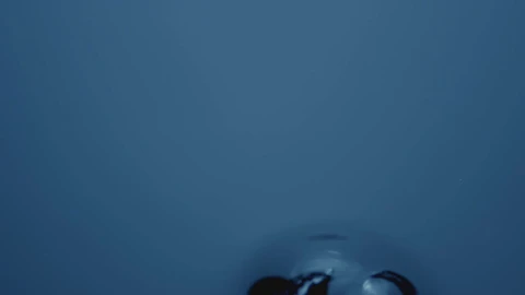 Stock Video Large Air Bubbles Animated Wallpaper - Free Live Wallpaper