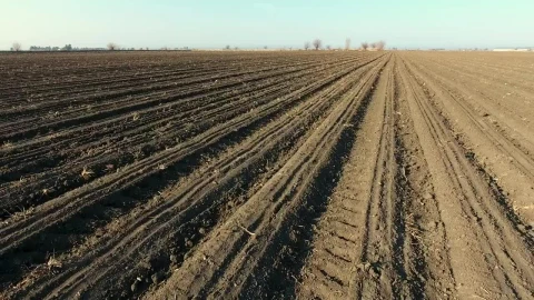 Stock Video Large Agricultural Land Animated Wallpaper - Free Live Wallpaper