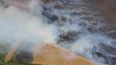 Stock Video Large Agricultural Fields Burning Smal Animated Wallpaper - Free Live Wallpaper