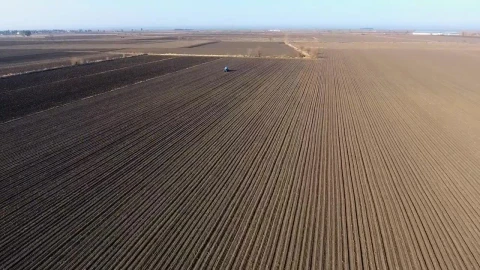 Stock Video Large Agricultural Fields Landscape Animated Wallpaper - Free Live Wallpaper