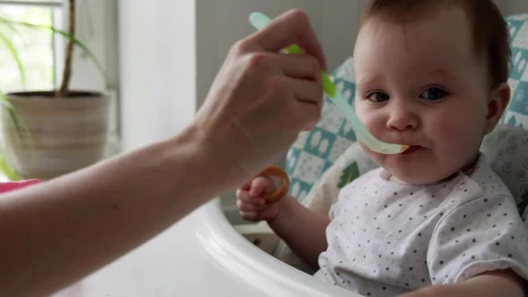 Stock Video Mother Feeding Her Young Bab Animated Wallpaper - Free Live Wallpaper