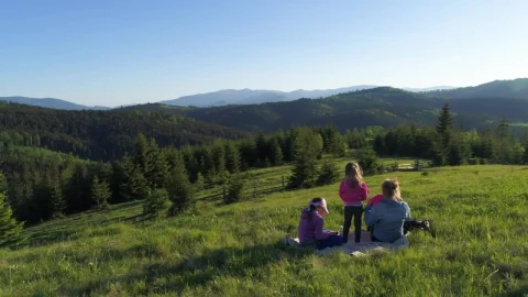 Stock Video Mother And Her Children In A Picni Animated Wallpaper - Free Live Wallpaper