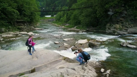 Stock Video Mother And Daughters For A Walk In The Fores Animated Wallpaper - Free Live Wallpaper