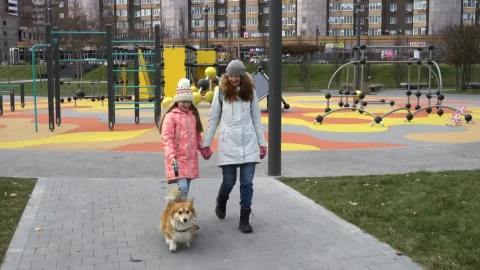 Stock Video Mother And Daughter Walking Through The Par Animated Wallpaper - Free Live Wallpaper
