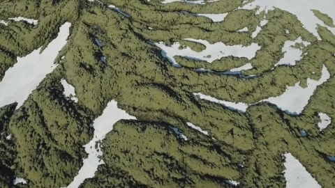 Stock Video Moss Growing On Rock Animated Wallpaper - Free Live Wallpaper