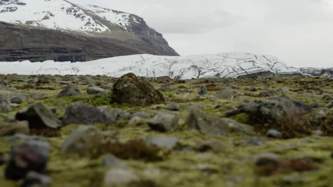 Stock Video Moss Covered Rocks By A Glacie Animated Wallpaper - Free Live Wallpaper