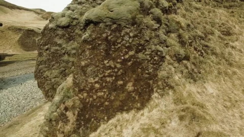Stock Video Moss Covered Canyo Animated Wallpaper - Free Live Wallpaper