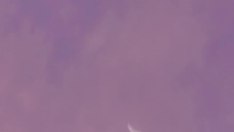 Stock Video Moon In The Sky At The Evenin Animated Wallpaper - Free Live Wallpaper