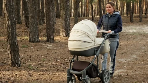 Stock Video Mom Strolling Her Baby In A Stroller In The Fores Animated Wallpaper - Free Live Wallpaper