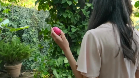 Stock Video Mom Hiding An Easter Eg Animated Wallpaper - Free Live Wallpaper