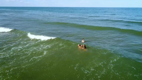 Stock Video Mom And Daughters Swimming In The Se Animated Wallpaper - Free Live Wallpaper