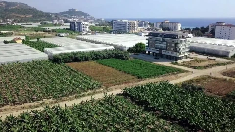 Stock Video Modern Farm At The Coas Animated Wallpaper - Free Live Wallpaper