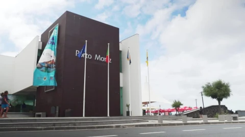 Stock Video Modern Building With Several Flags Wavin Animated Wallpaper - Free Live Wallpaper