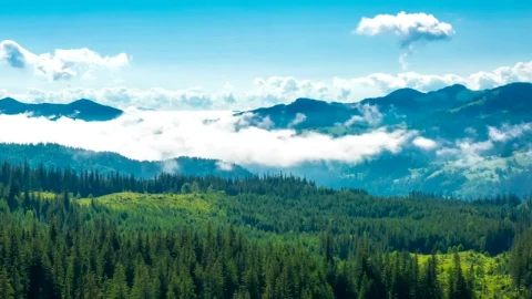 Stock Video Misty Morning In The Mountains Time Laps Animated Wallpaper - Free Live Wallpaper