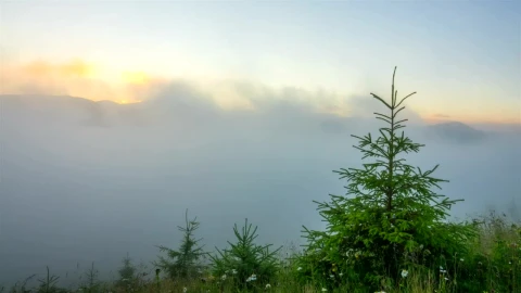 Stock Video Misty Morning In The Mountain Time Laps Animated Wallpaper - Free Live Wallpaper