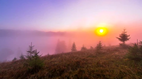 Stock Video Misty Morning In The Mountain Animated Wallpaper - Free Live Wallpaper