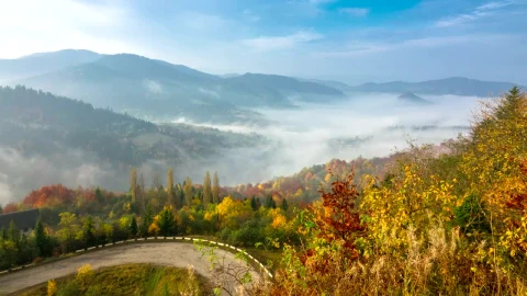 Stock Video Misty Morning In The Mountai Animated Wallpaper - Free Live Wallpaper