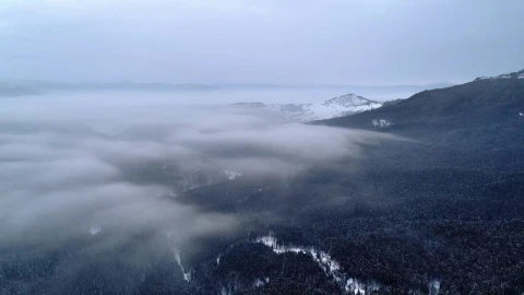 Stock Video Misty Clouds Forming Over A Winter Fores Animated Wallpaper - Free Live Wallpaper