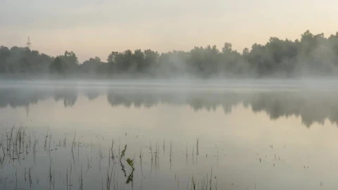 Stock Video Mist In The Lak Animated Wallpaper - Free Live Wallpaper