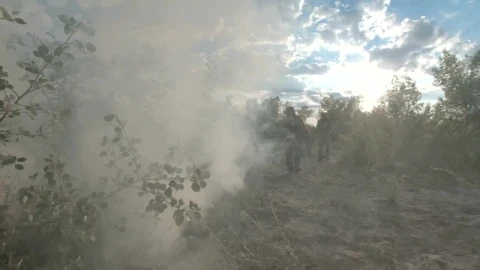 Stock Video Military Forces Working On The Battlefiel Animated Wallpaper - Free Live Wallpaper
