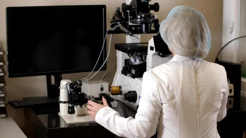 Stock Video Microbiologist Using A Microscop Animated Wallpaper - Free Live Wallpaper