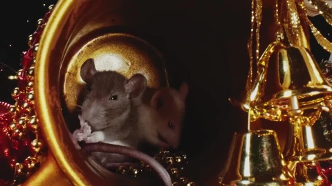 Stock Video Mice In A Christmas Decoratio Animated Wallpaper - Free Live Wallpaper