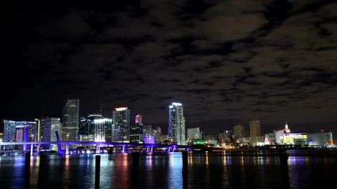 Stock Video Miami Night Lif Animated Wallpaper - Free Live Wallpaper